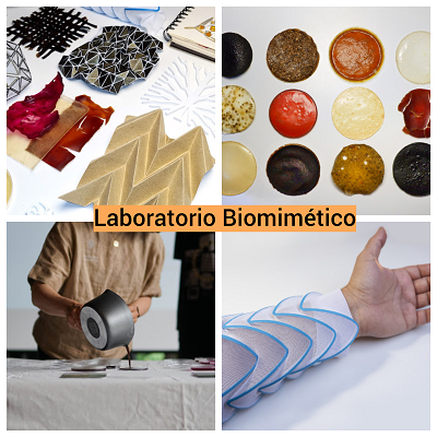 Erasmus+ Laboratorio Biomimético