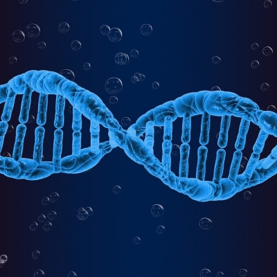 Il DNA dal punto di vista di un informatico