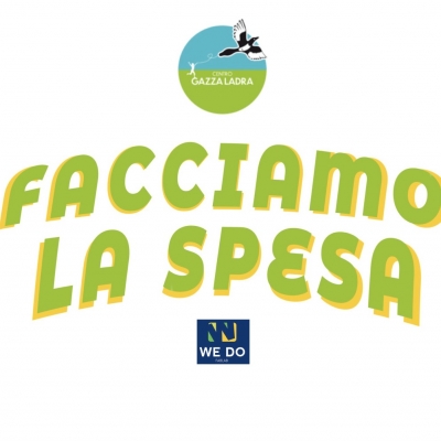 FACCIAMO LA SPESA